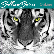 Curso Online de Empoderamiento del Tigre Blanco