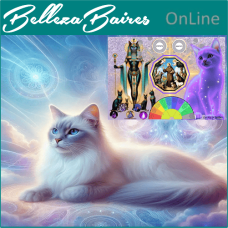 Curso Online de Mesa Radionica Kattuz (Para Gatos)