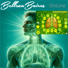 Curso Online de Mesa Radionica Sistema Respiratorio