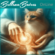 Curso Online de Reiki Kattuz